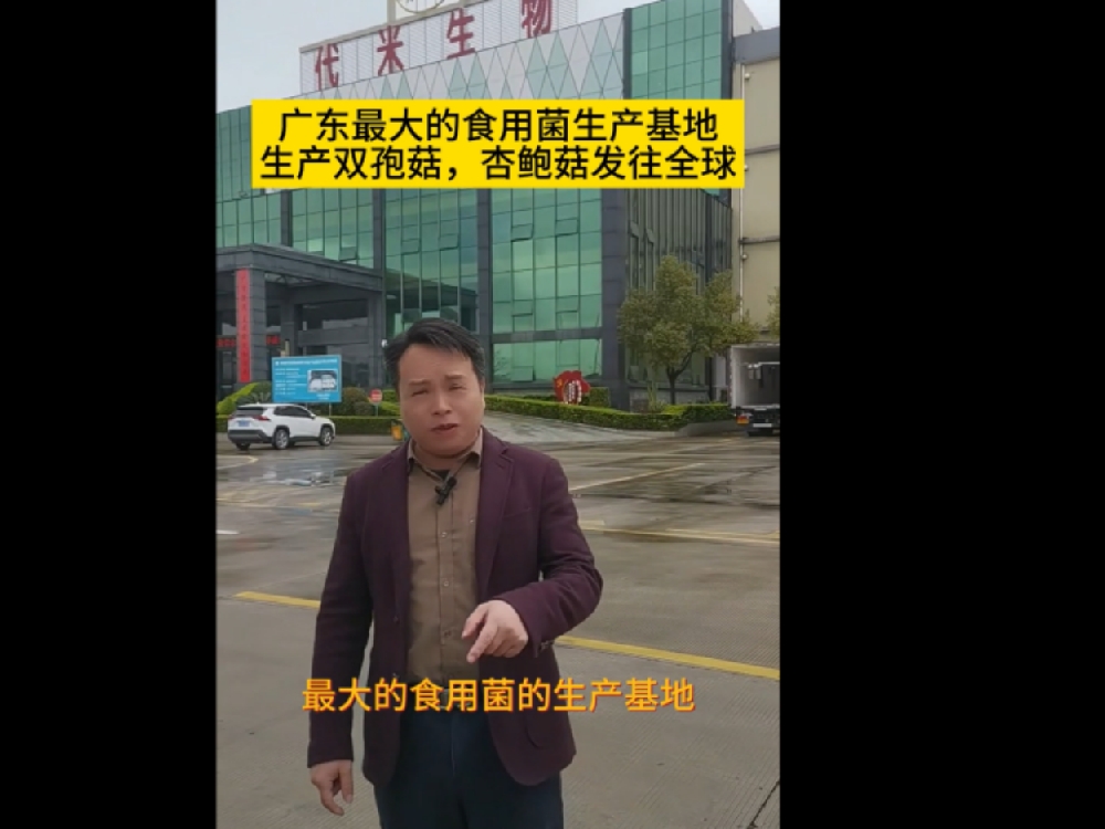廣東最大的食用菌生產(chǎn)基地，代米生物真空預(yù)冷機使用現(xiàn)場
